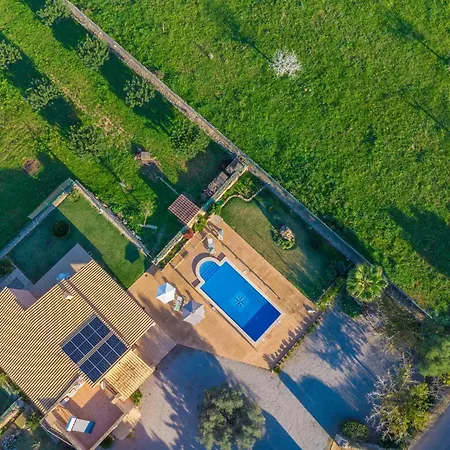 Son Morro -ca Na Poveta- カン・ピカフォルト