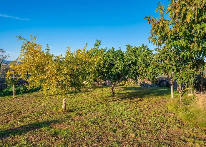 Son Morro -ca Na Poveta- فيلة كان بيكافورت