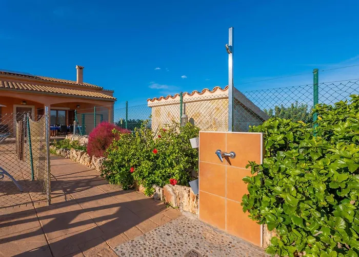 فيلة Son Morro -ca Na Poveta-